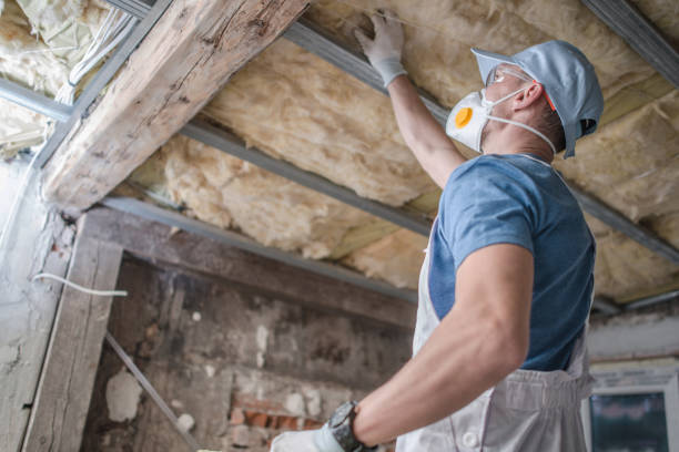 Best Insulation Maintenance and Repair in Grand Haven, MI