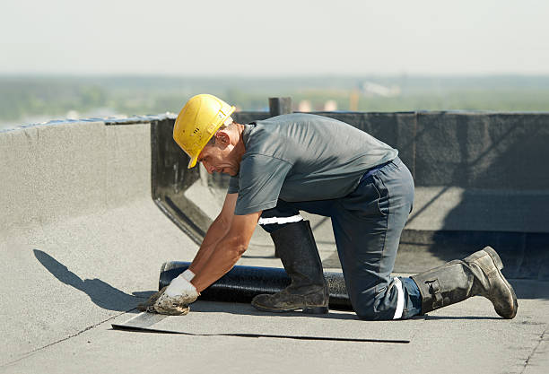 Trusted Grand Haven, MI Insulation Contractor Experts